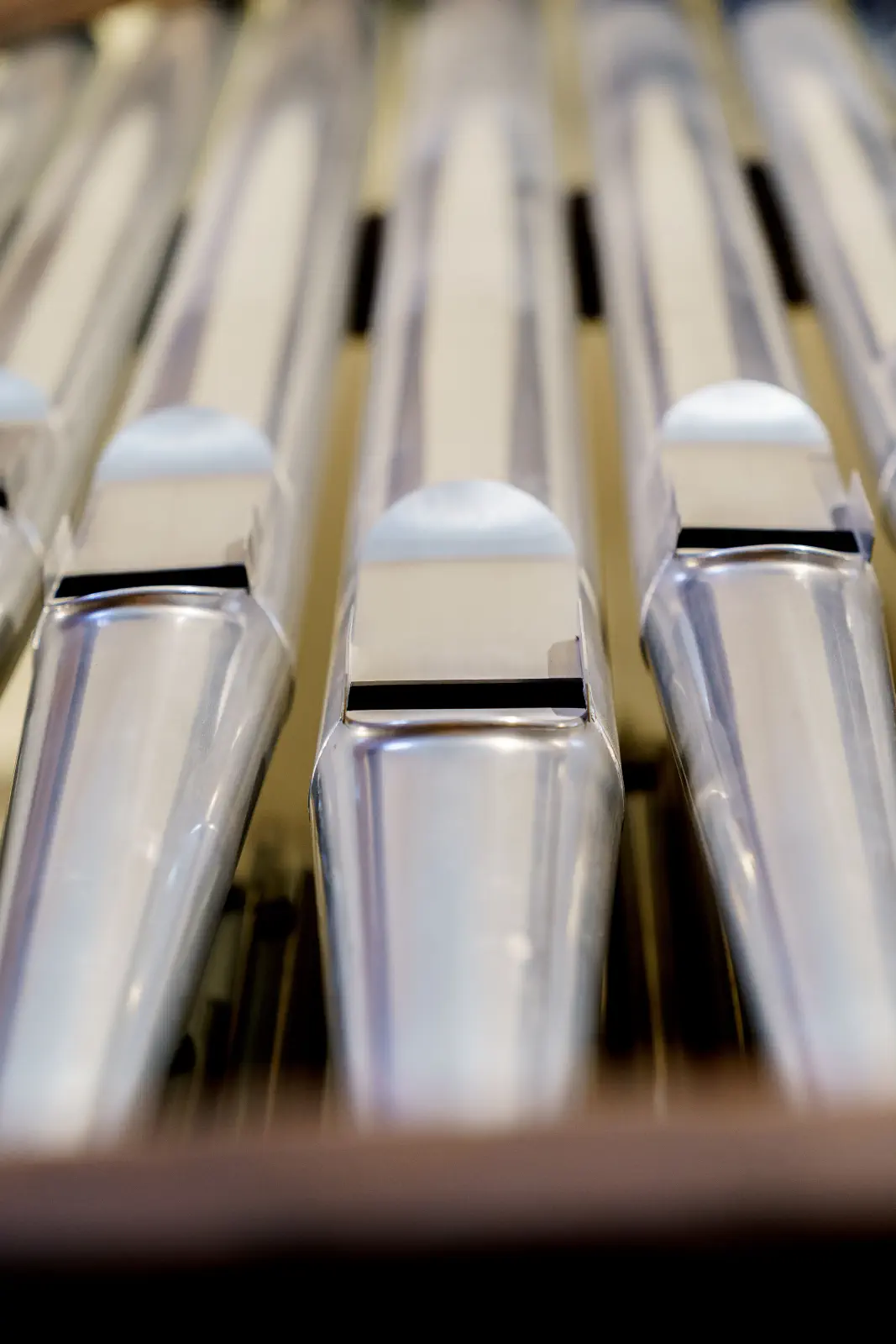 A Miatyánk Fesztivál egyik fontos szereplője, az orgona